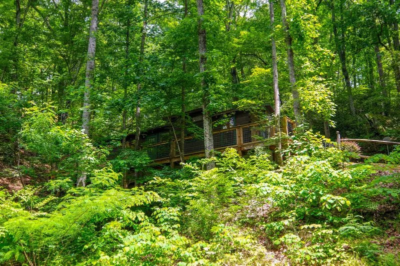 GOOD AURA CABIN