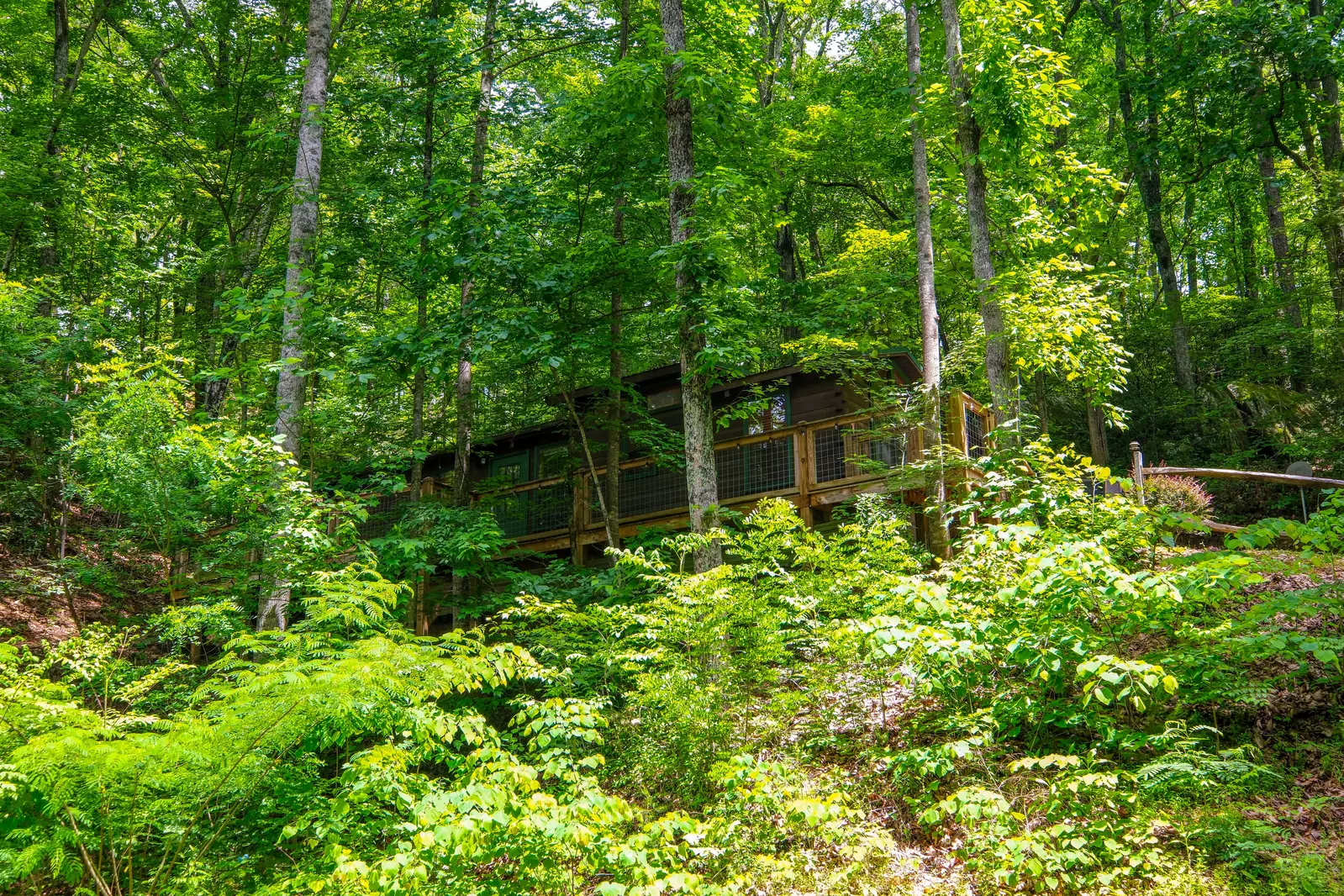 GOOD AURA CABIN