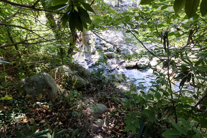 BEAR CREEK HAVEN