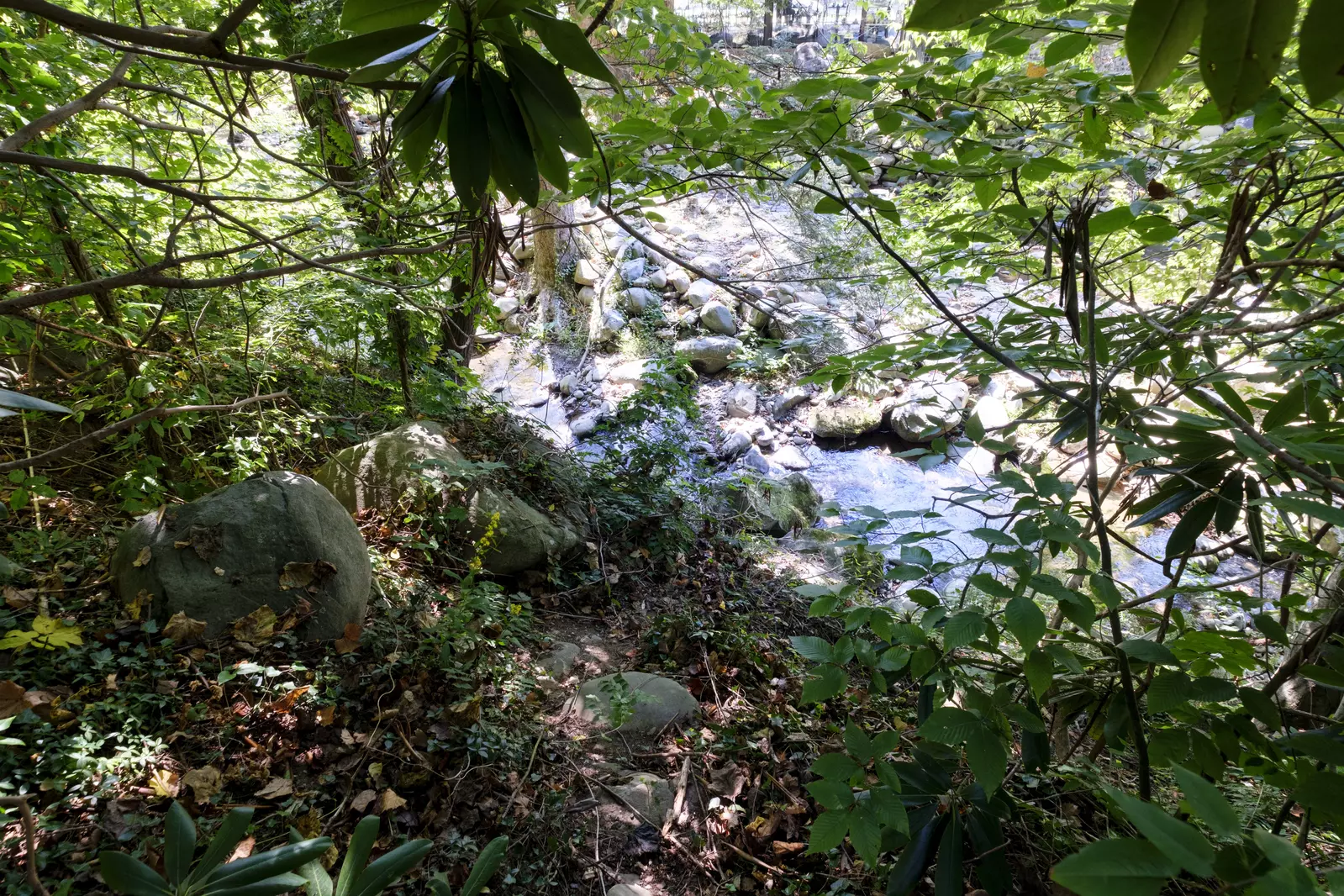 BEAR CREEK HAVEN
