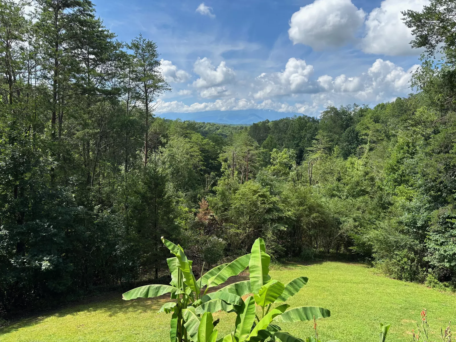 HEAVENS VIEW