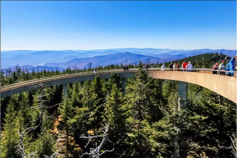 BLACK BEAR OVERLOOK