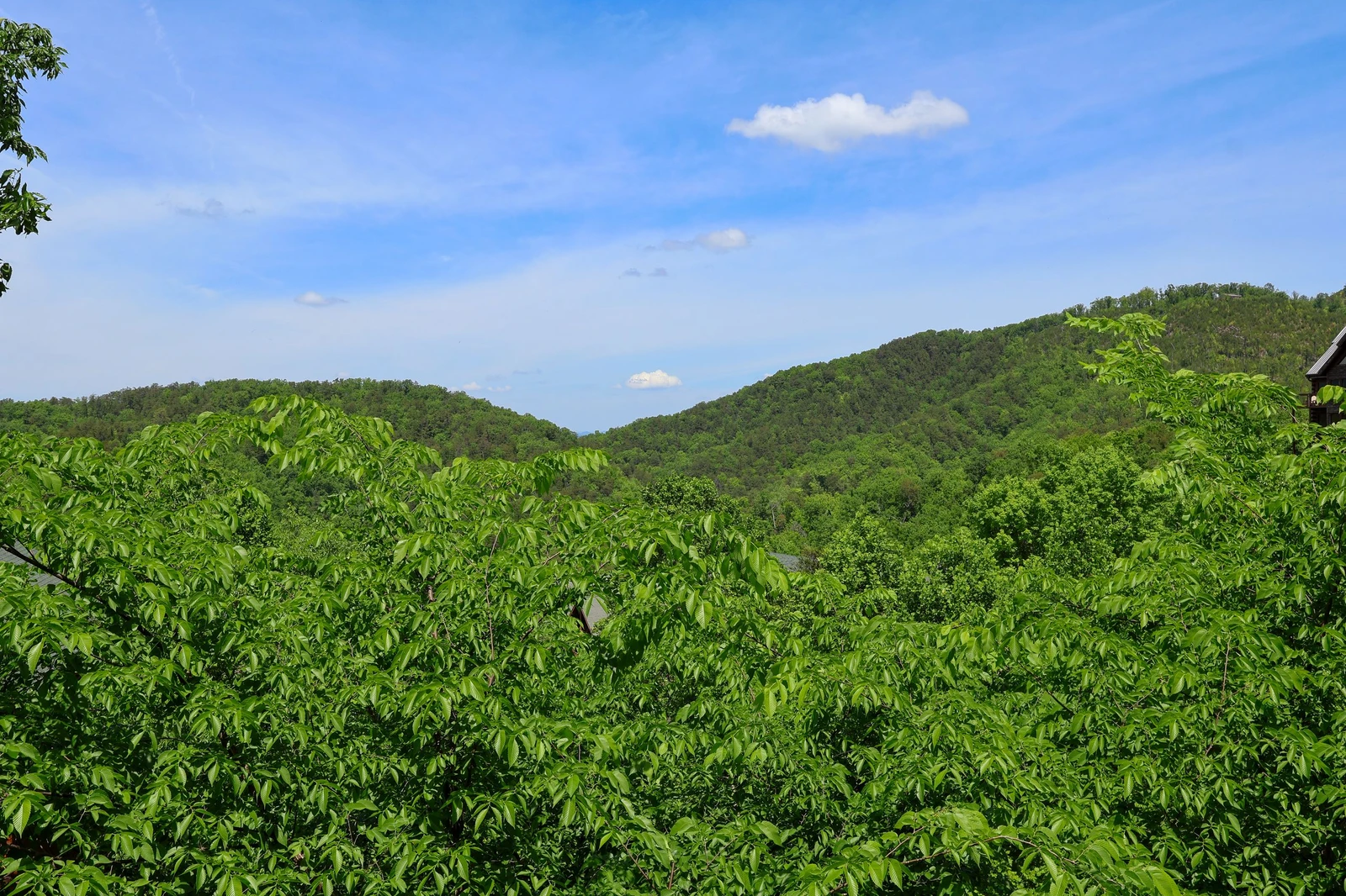 MARGARITA MOUNTAIN