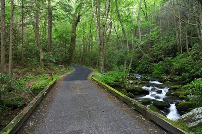 roaring fork rd