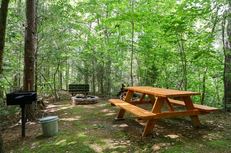 THE LOON'S NEST
