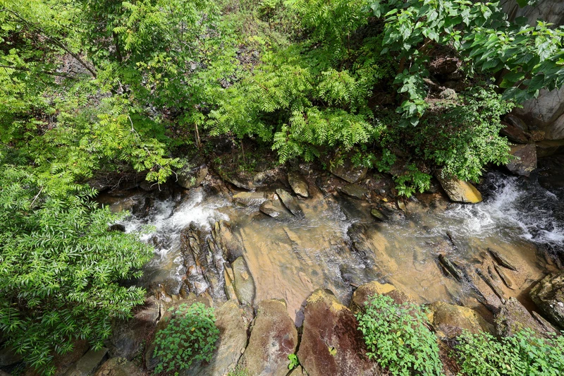 COMFORTS ME