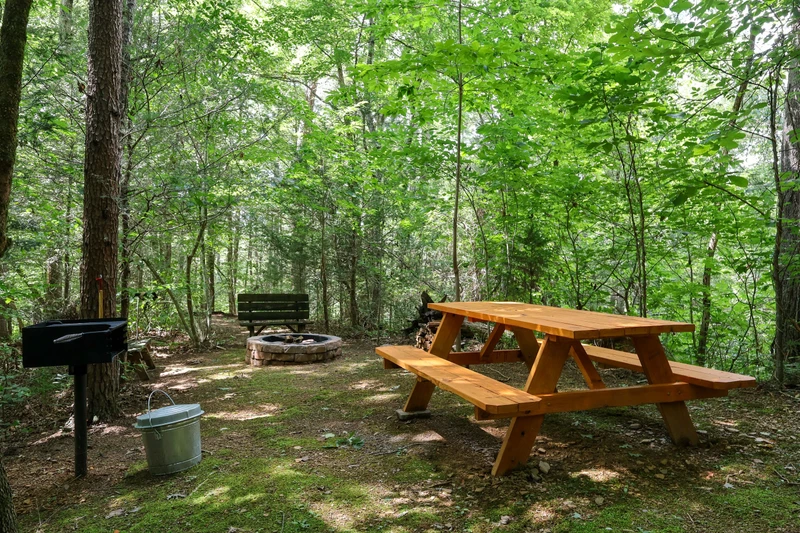 THE LOON'S NEST