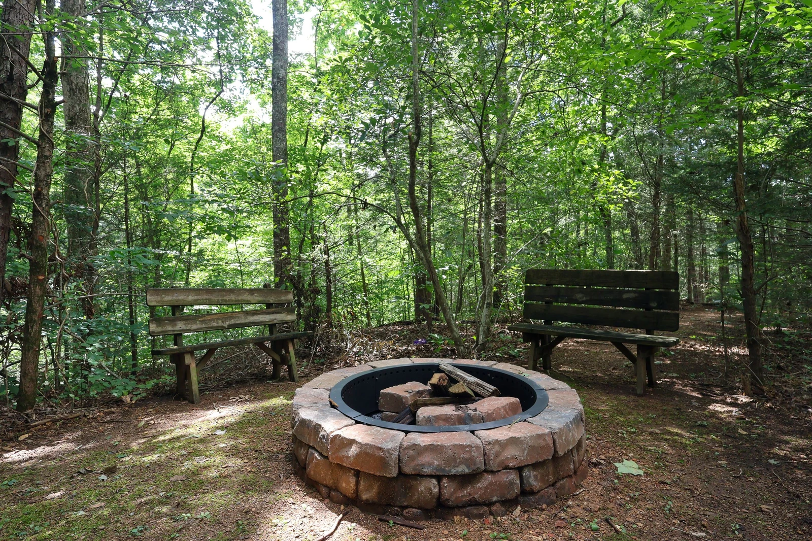 THE LOON'S NEST
