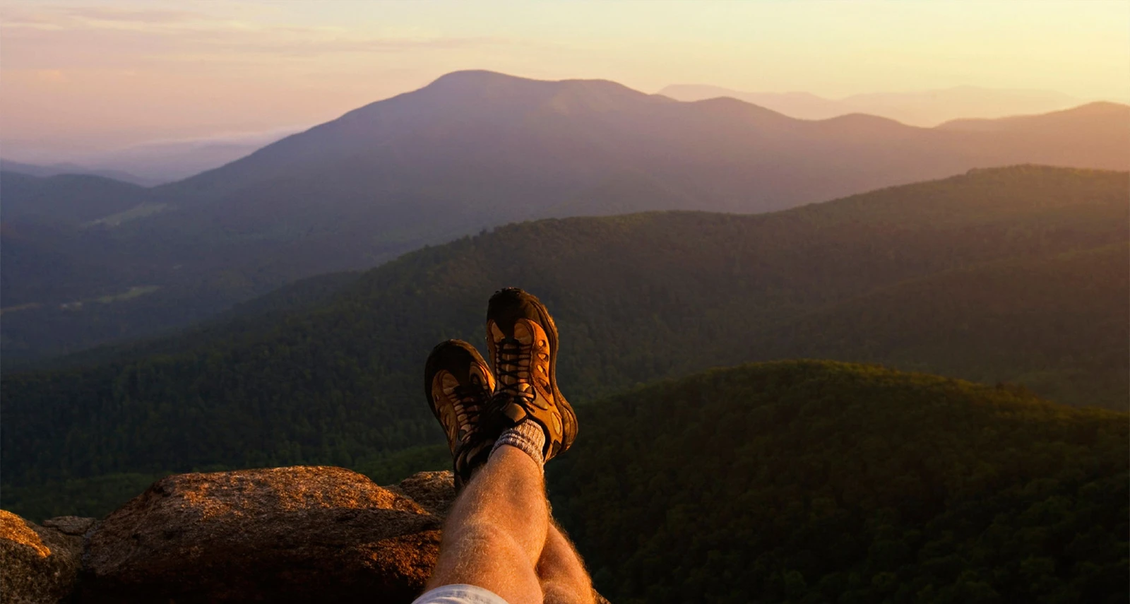 THE GRAND VIEW