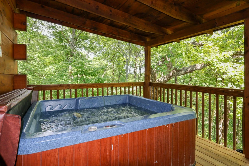 COVE CREEK LODGE