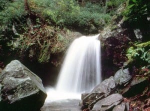 waterfalls in gatlinburg tn
