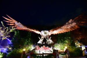 Wild Eagle at Dollywood in Pigeon Forge