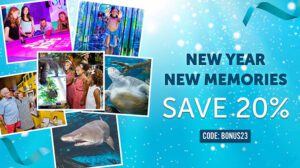 2024 ripleys aquarium promo code winter